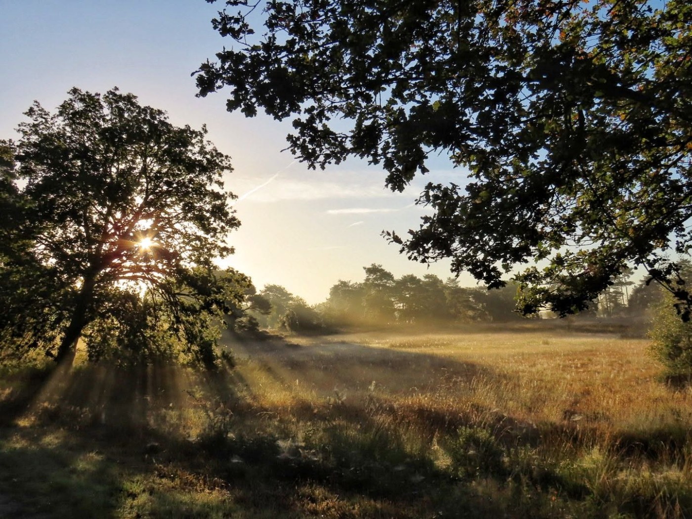 Nazomerse dagen met veel zon, weerfoto door Jose Bosch (september 2026)