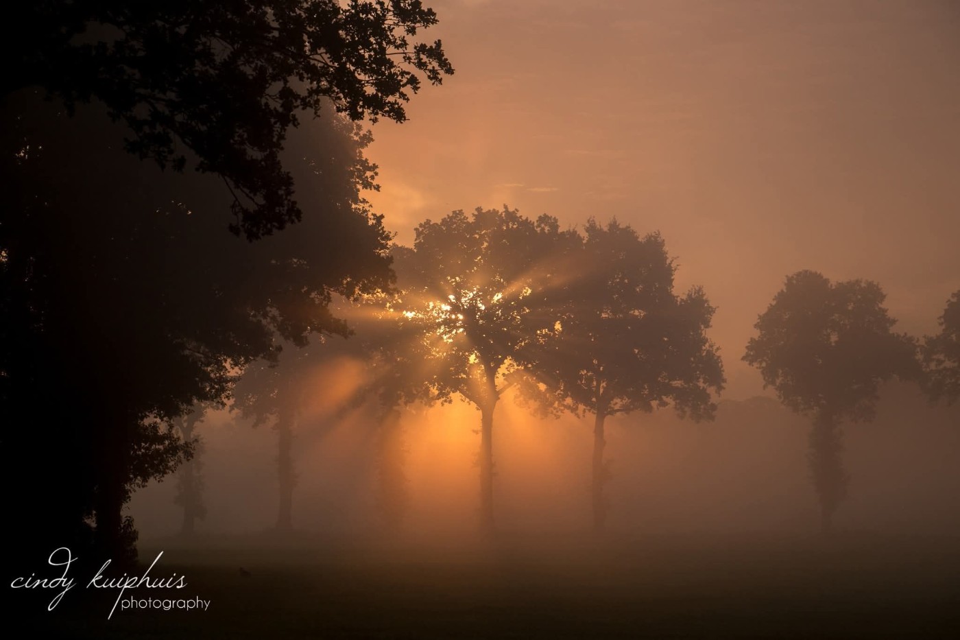 Waarom ontstaat er zoveel mist in de herfst?, foto Cindy Kuiphuis