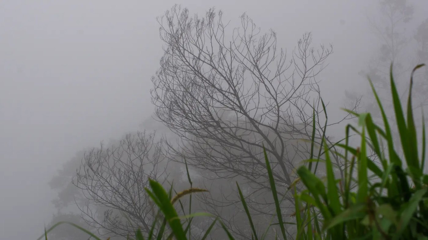 Waarom blijft mist soms de hele dag hangen?, foto Redactie